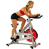 sunny health home workout fitness bike