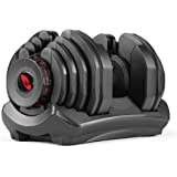 bowflex workout dumbbell at home