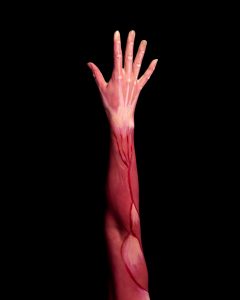 Blood flowing through arm